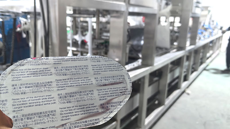 Box Filling Sealing Machine